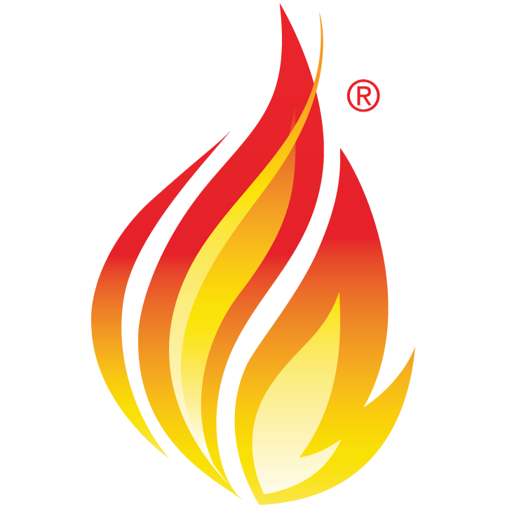 icon-fhir-720